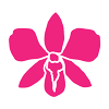 Odamis Martinez orchid icon